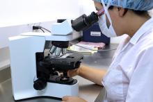 Indices CPF 1664638 - A21M - Services professionnels, scientifiques et techniques - Base 2010 - 10/2017